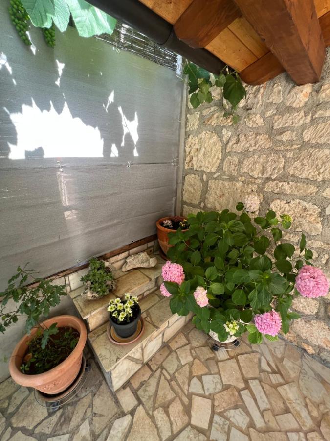 Ferienwohnung Kuca Za Odmor Matea Poreč Exterior foto